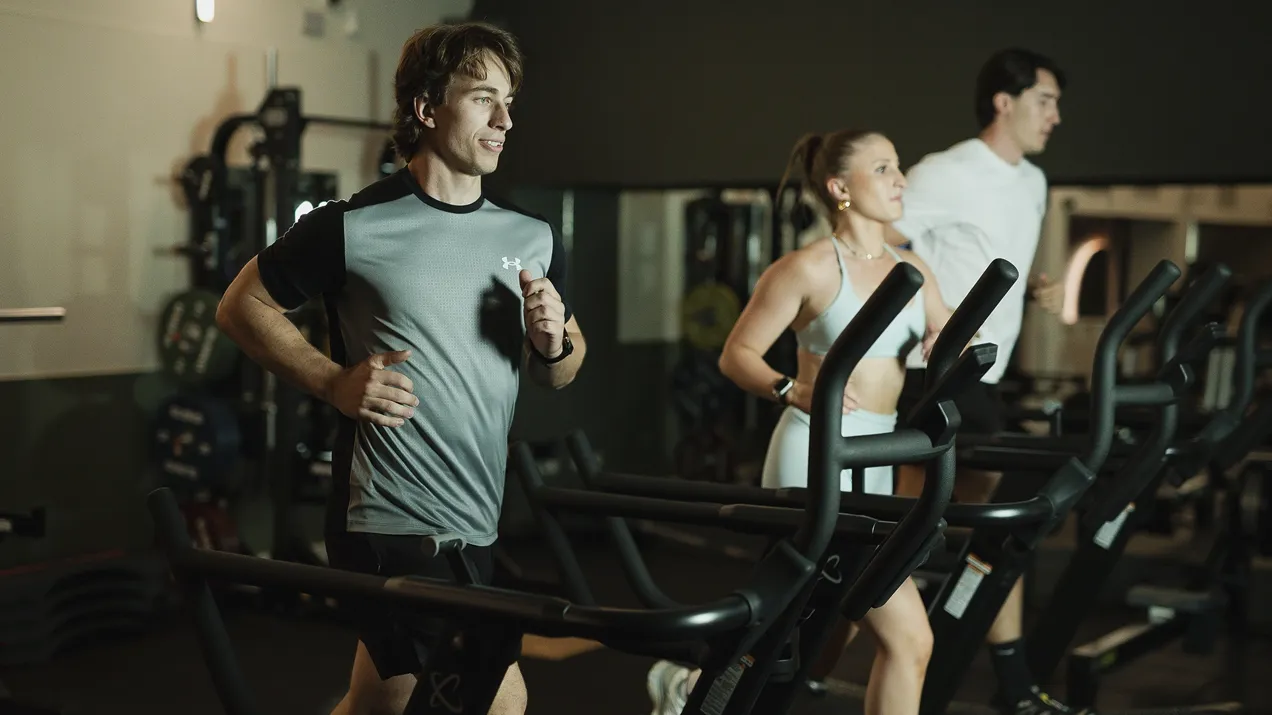 Treadmills Ff 059