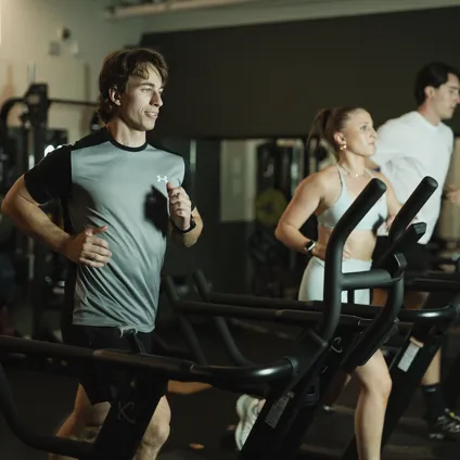 Treadmills Ff 059