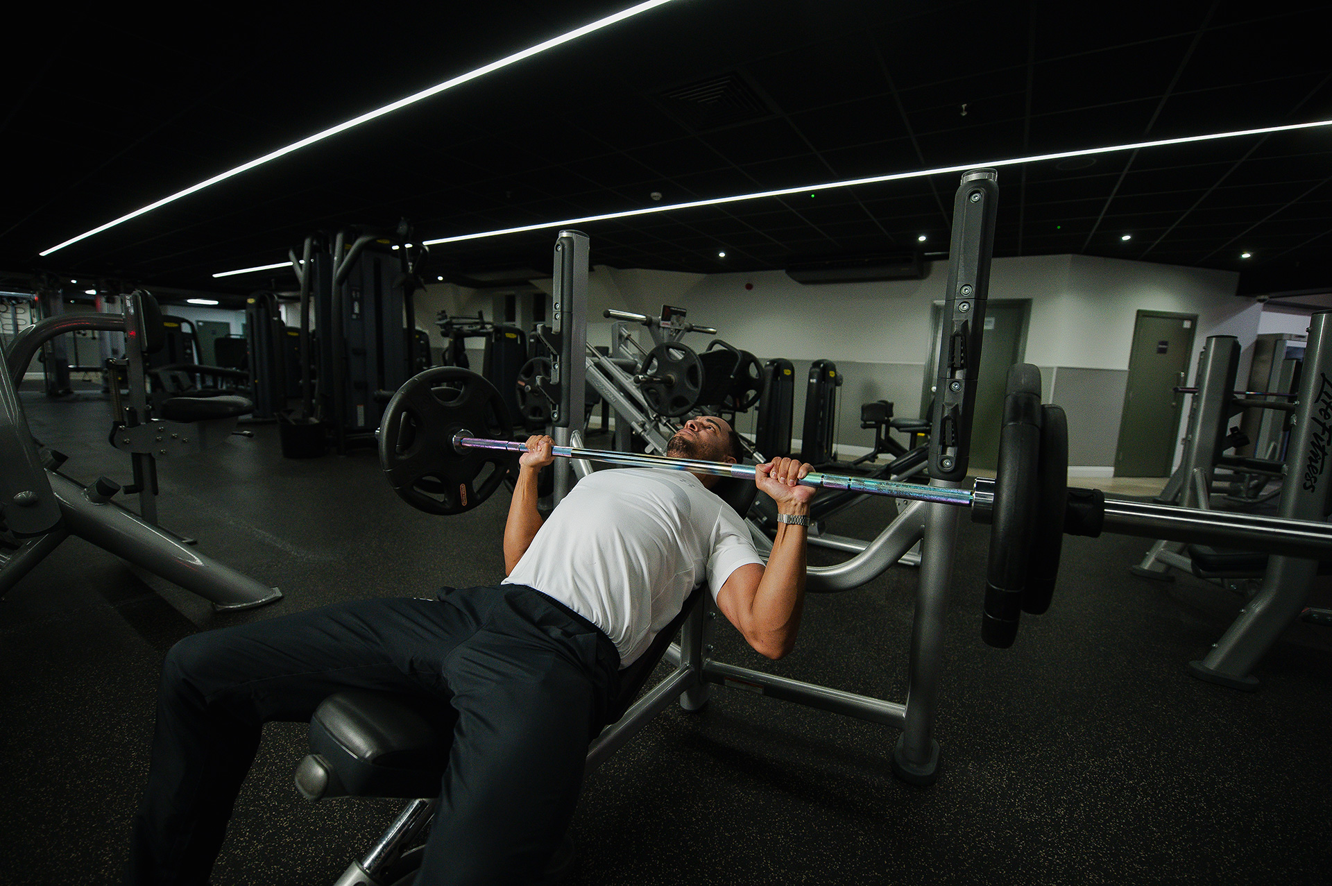 Free Weights FF 297