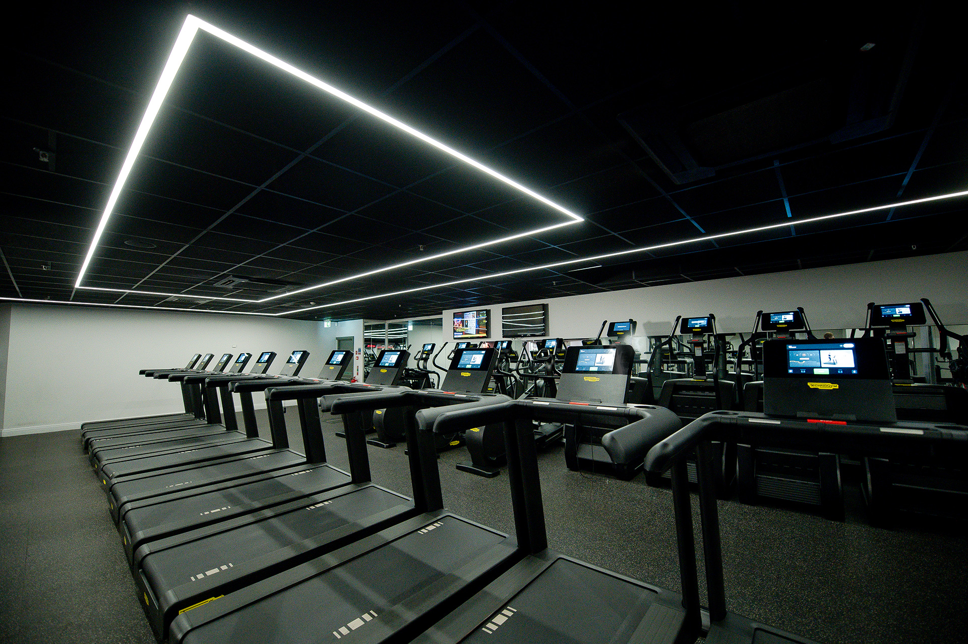 Cardio FF 209
