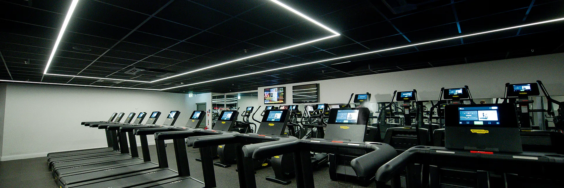 Cardio FF 209