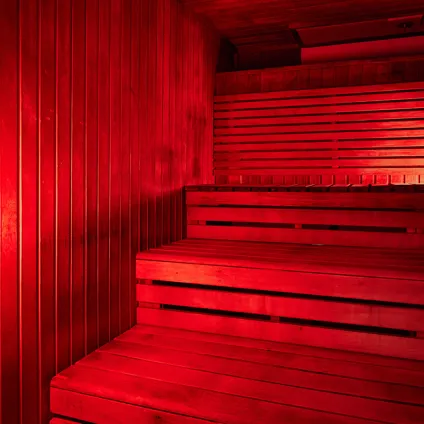 Sauna Fitnessfirst Sthelier Feb2024 526H