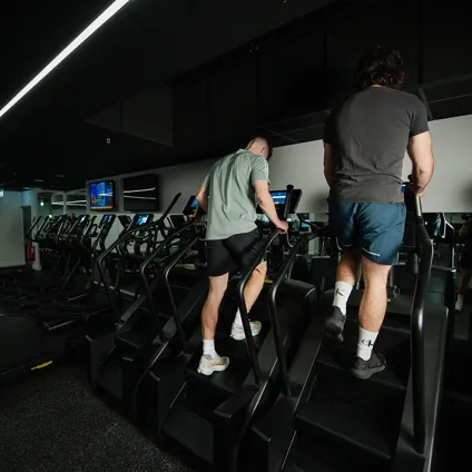 Stair Master FF 208