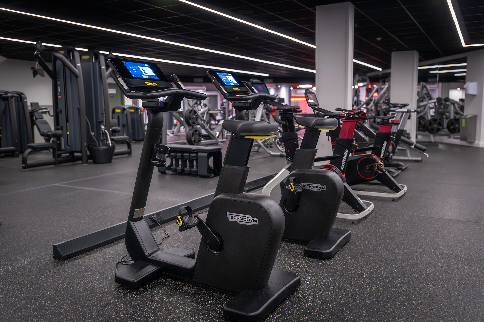 Cardio DSC03436