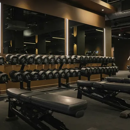 Free Weights Area 1
