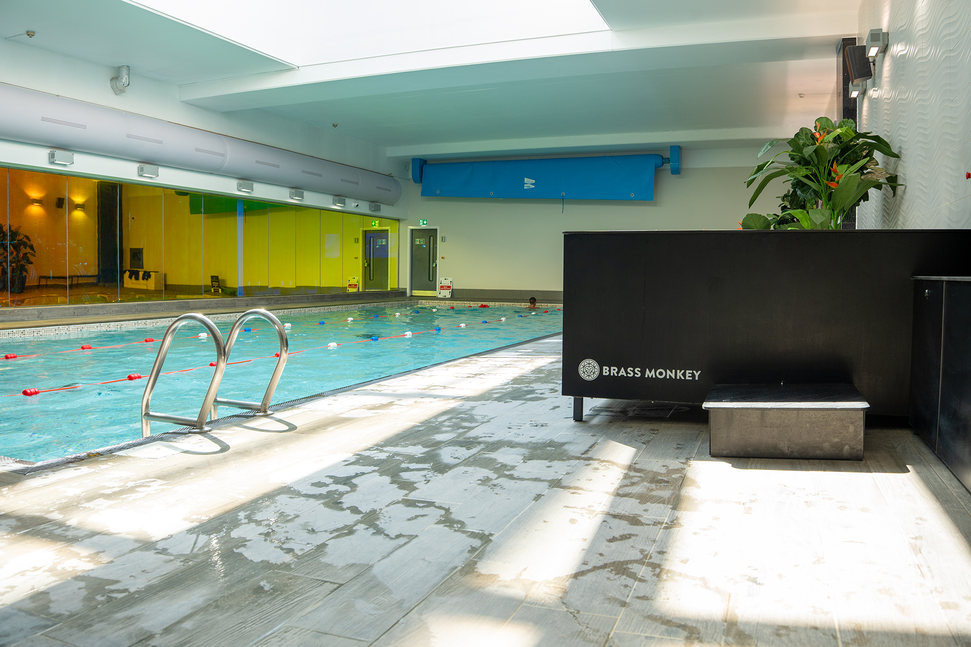 Pool Dsc02142