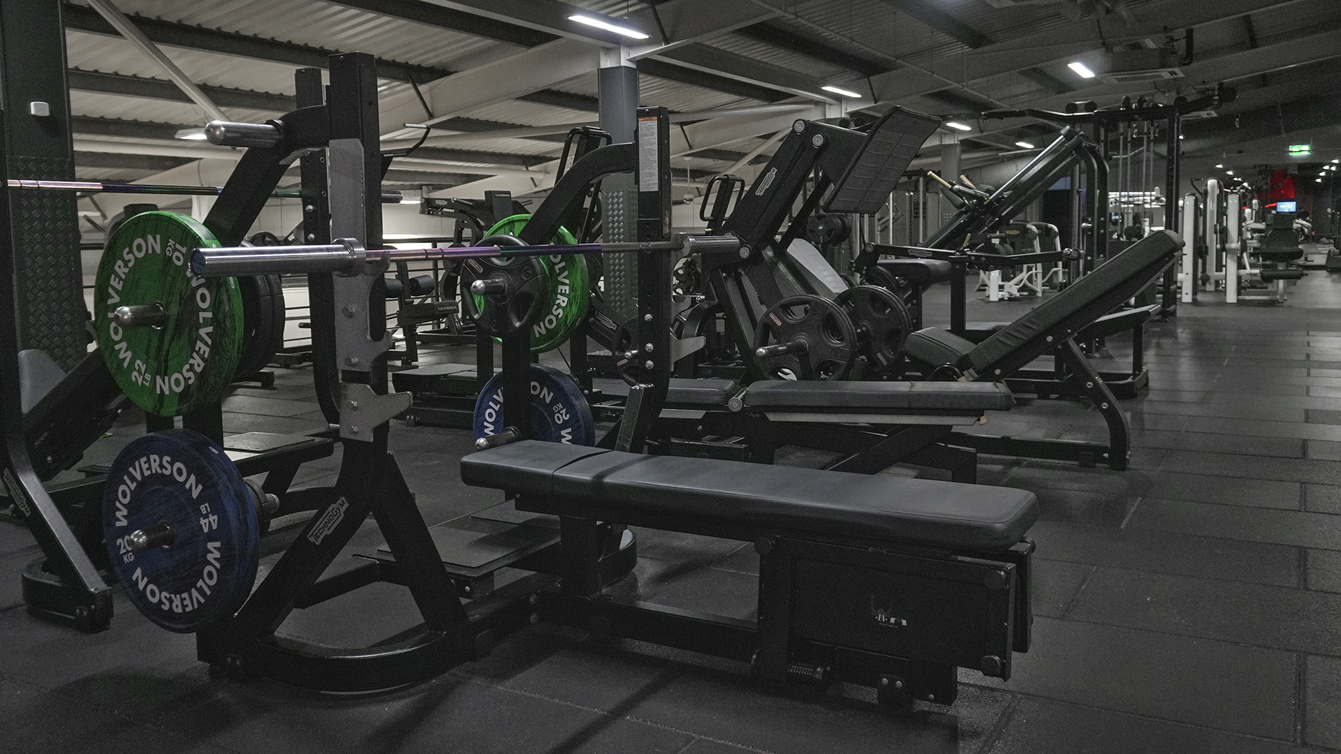 Free Weights 3