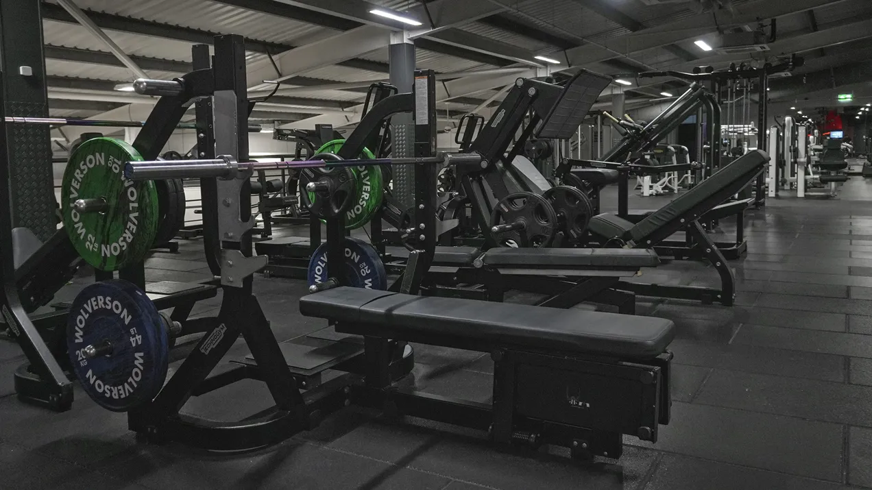 Free Weights 3