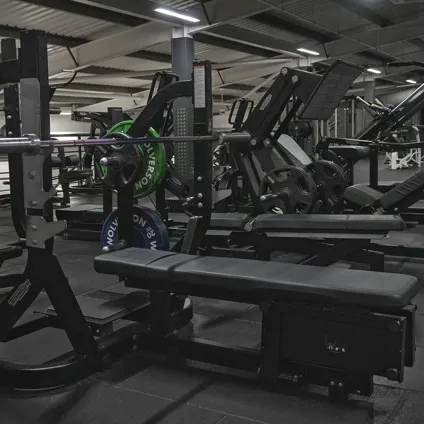 Free Weights 3