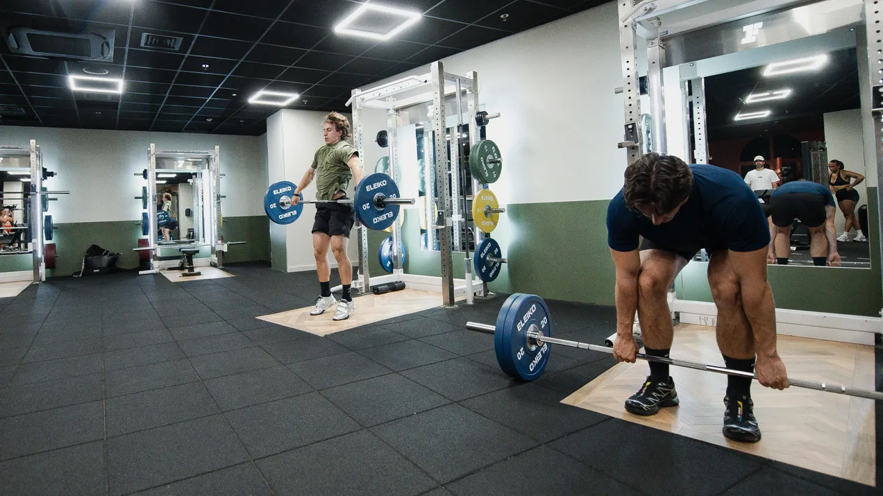 Strength Conditioning Ff 240