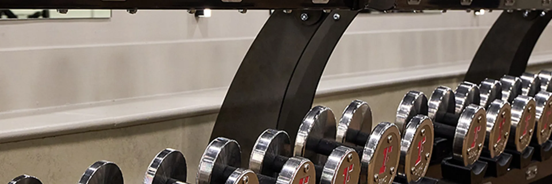 Watson Dumbbell 3