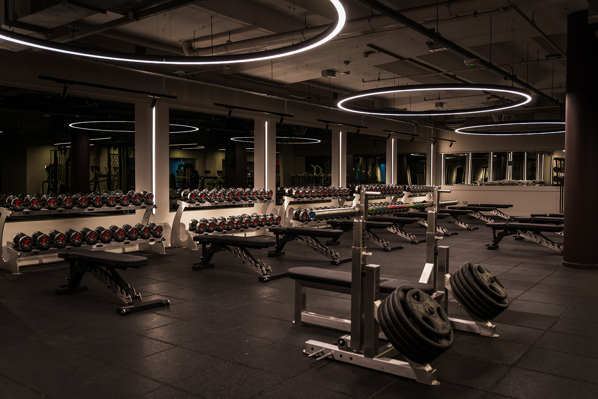 Free Weights DSC02853