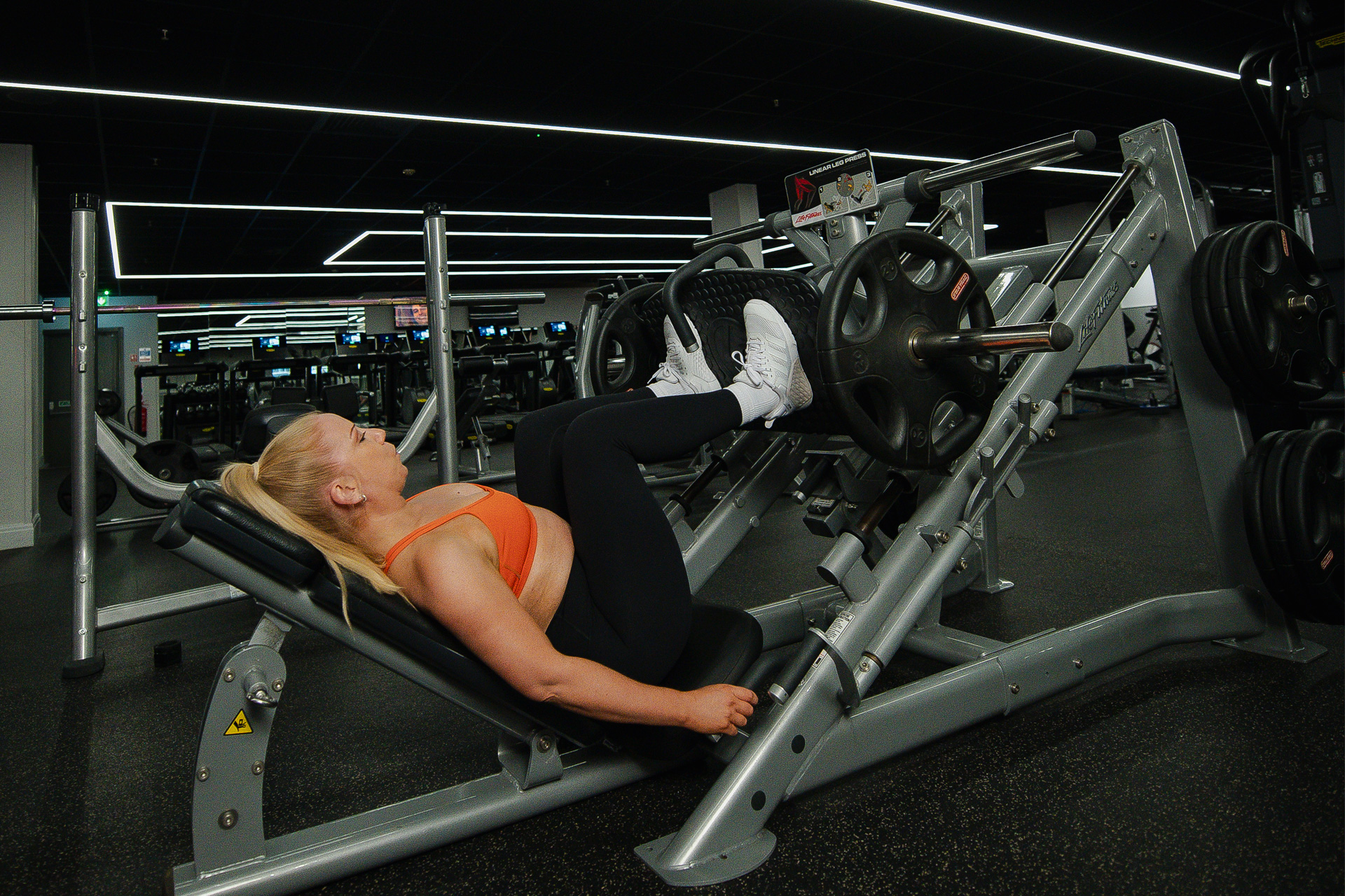 Free Weights FF 281 L