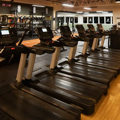 Treadmills Additional Ff 341