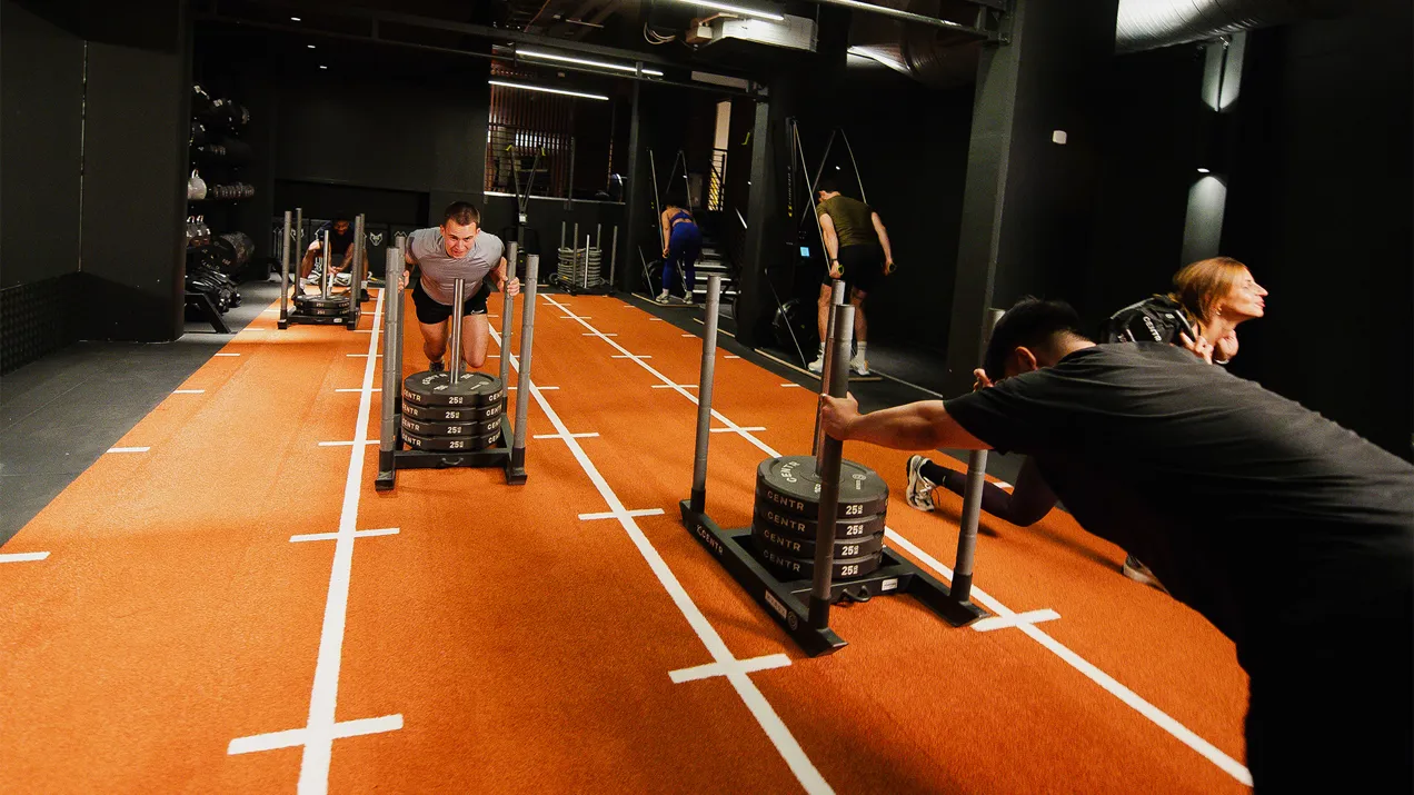 Fitness First 219