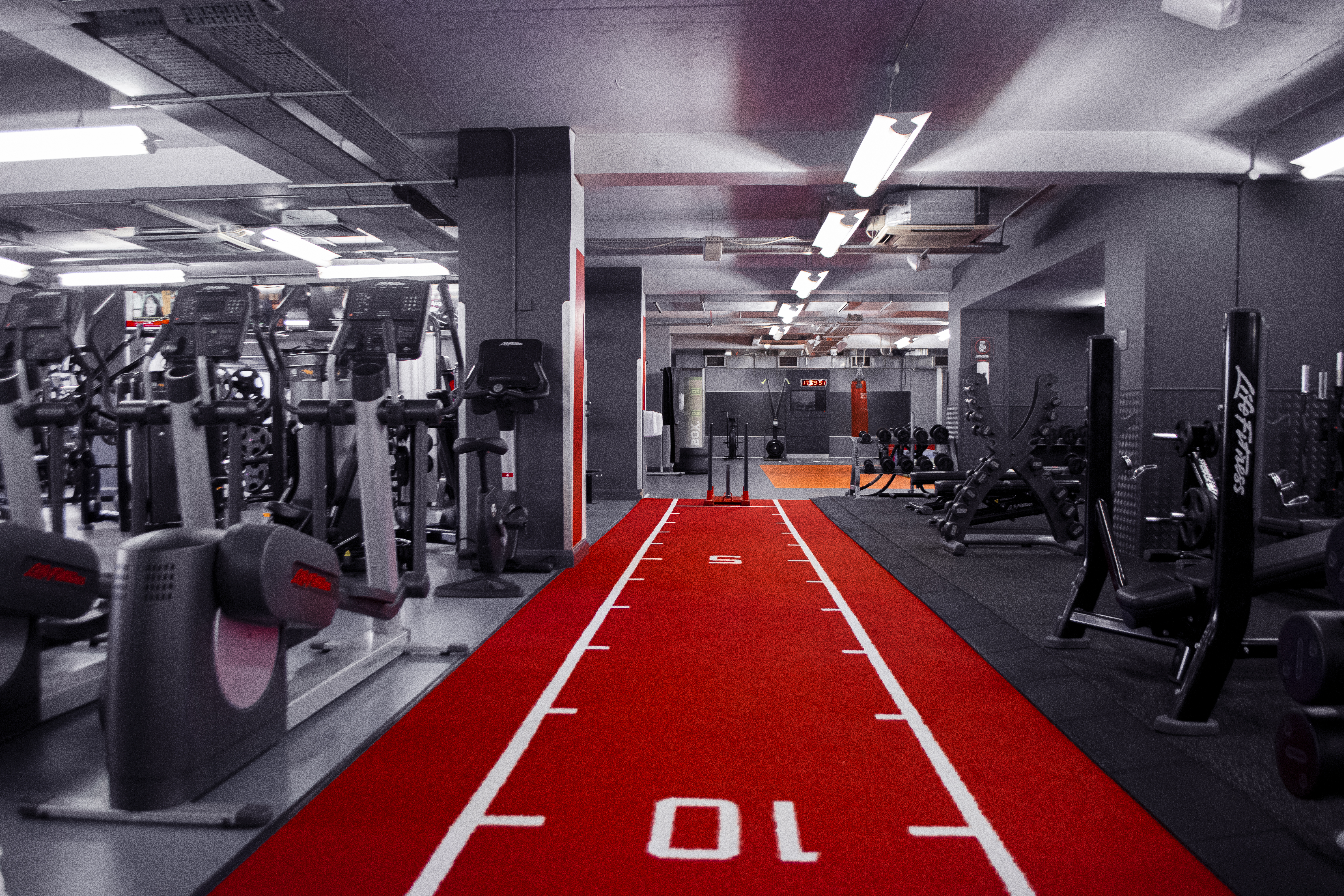 Fitness clearance first book