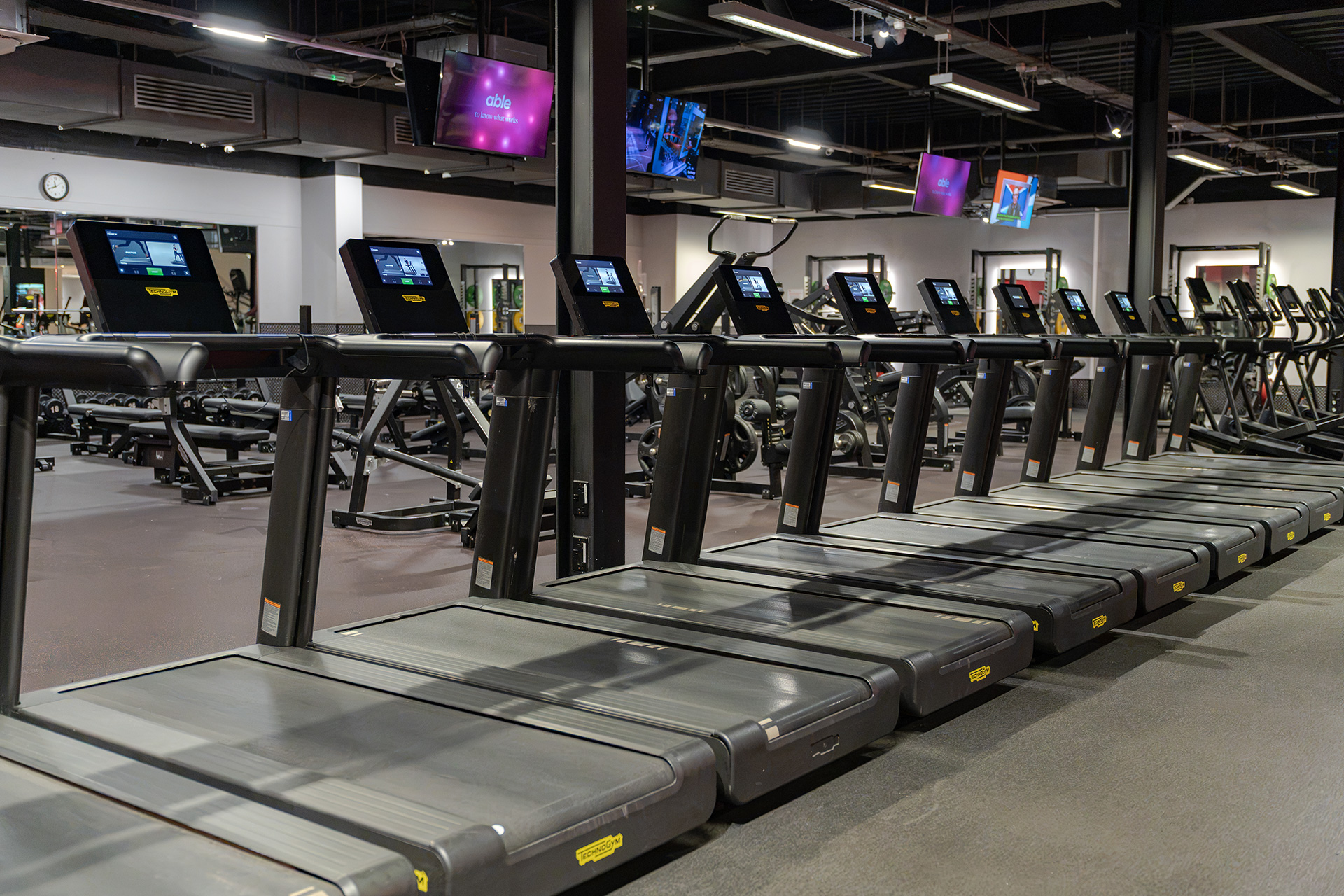 Cardio DSC03947