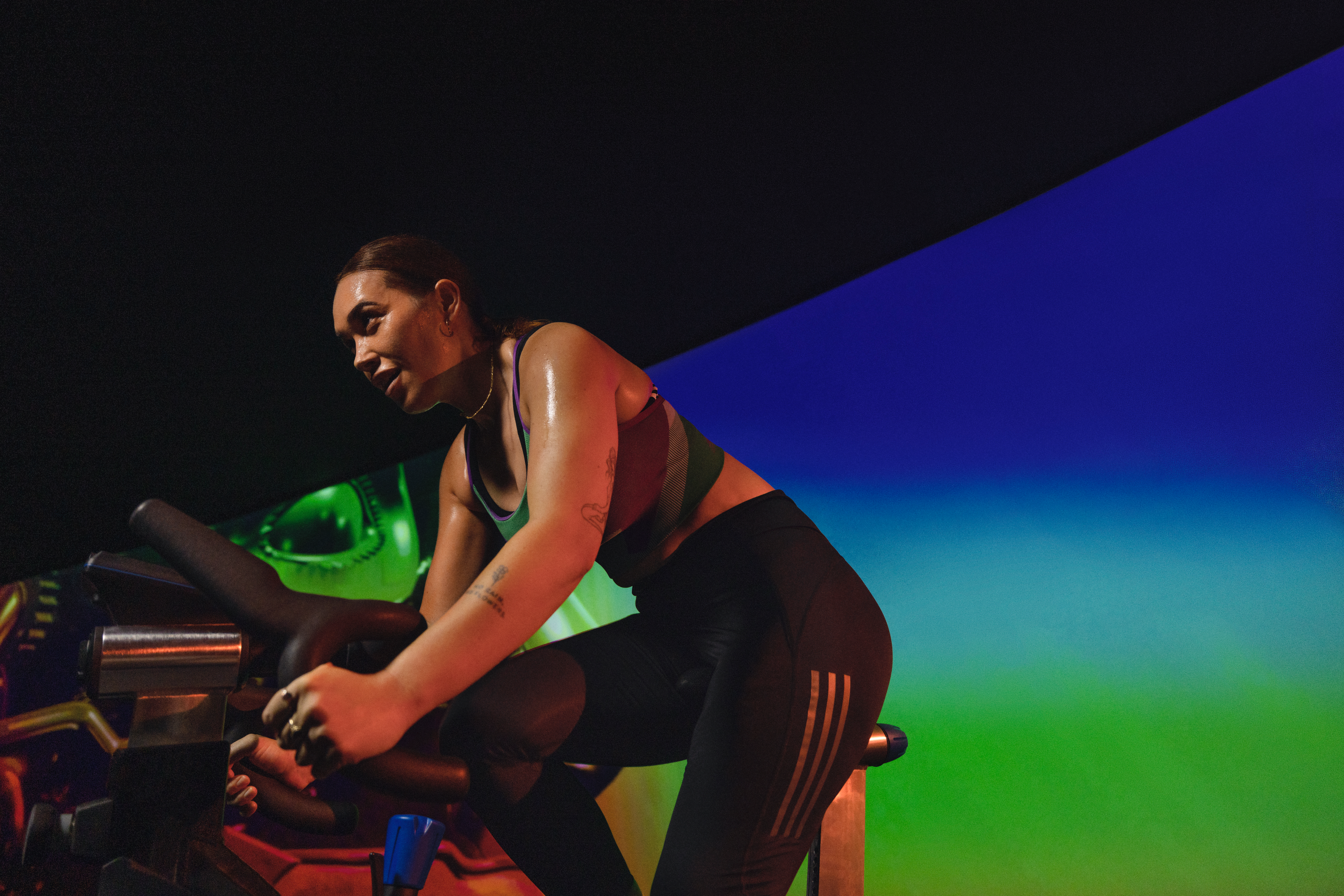 Digital Screens NEW PROGRAM RELEASE THE TRIP IMAGE 01