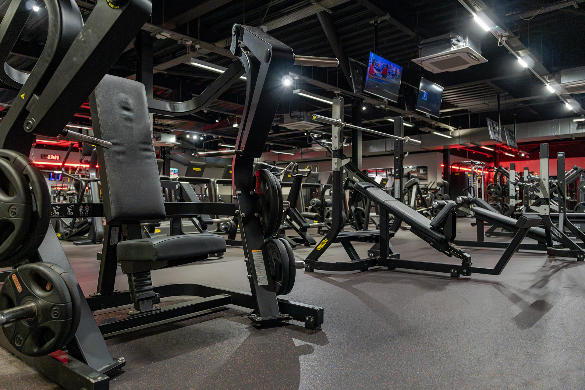 Free Weights DSC03866