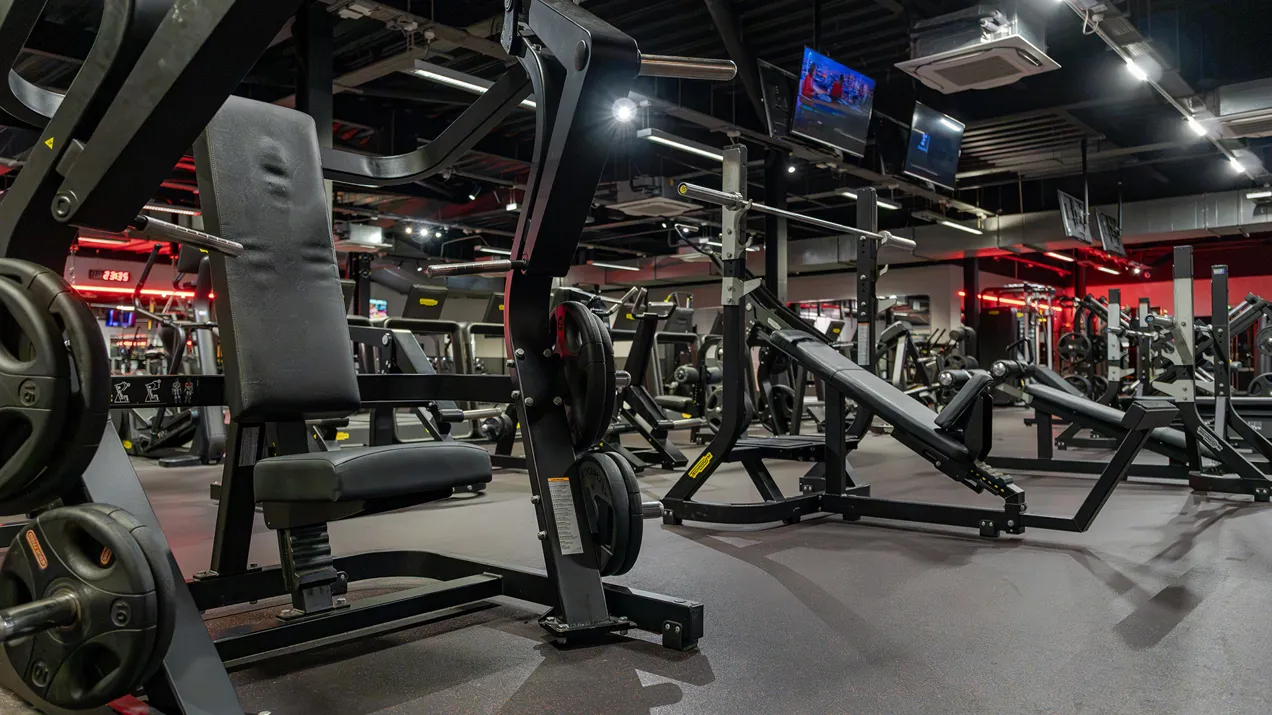 Free Weights DSC03866
