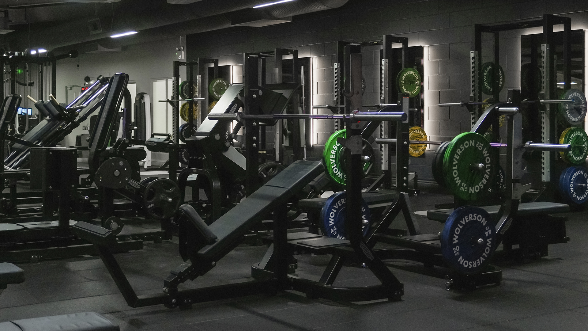 Free Weights 1